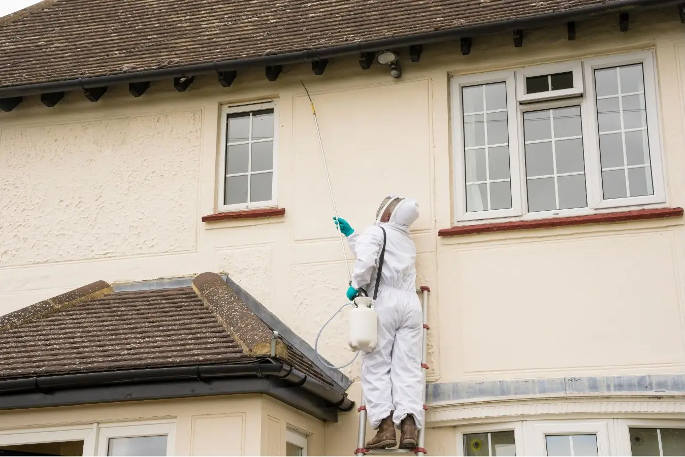 Stručni djelatnik tvrtke Pestrid u zaštitnoj opremi sigurno uklanja gnijezdo stršljenova ispod krova obiteljske kuće.